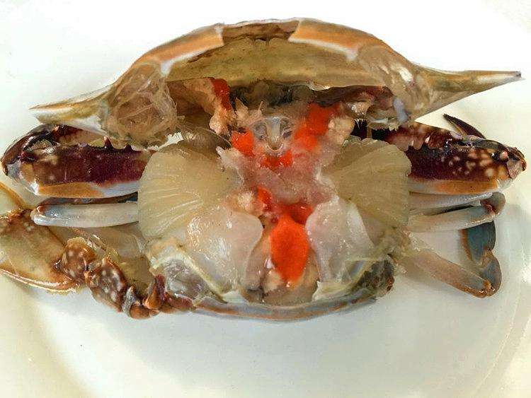 红膏呛蟹01.jpg