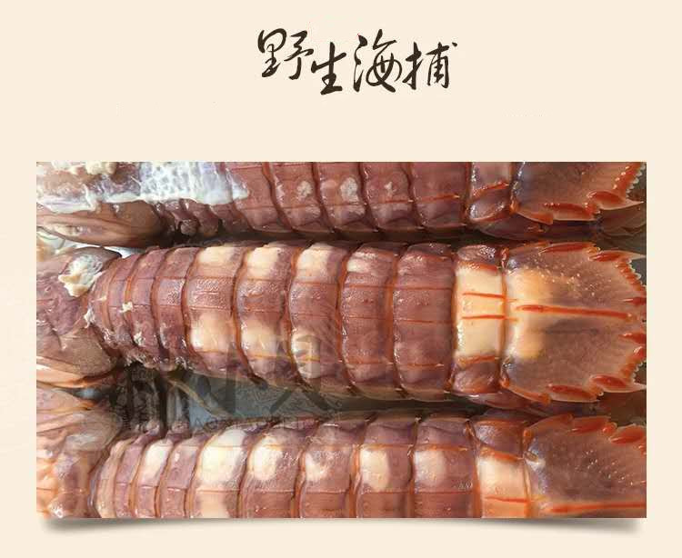 微信图片_20190110102425_副本.jpg