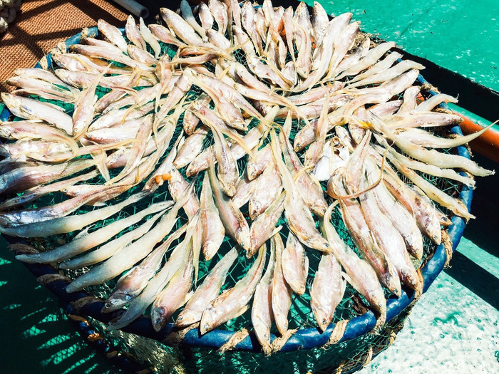 微信圖片_20190403170530_副本.jpg