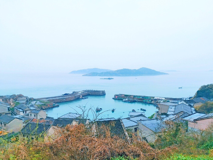 微信圖片_20190326084316_副本.jpg